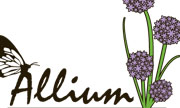 Allium